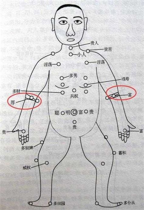 手臂痣的位置|痣的位置透露出這些訊息！上手臂有痣不乏追求者、手。